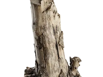  Medium Cut Bare Deciduous Stump Model  purchase