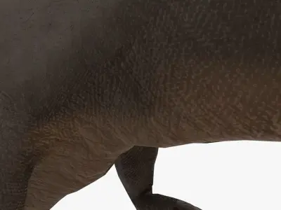 Tyrannosaurus Rex 4K Textures Low-poly 3D model