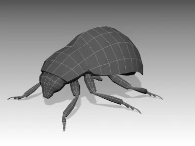 Ladybug Animated Low-poly 3D model