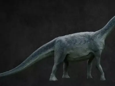 Camarasaurus dinosaur Low-poly 3D model