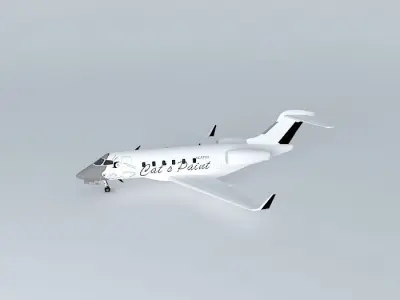 Bombardier Challenger 300 Cats Paint Free 3D model