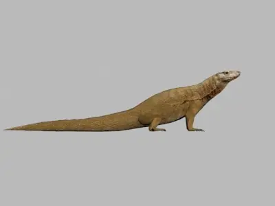 COMODO LOW POLY lizard 3D model