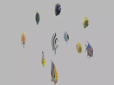 Fish 10 3D model