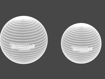 Technogym Accessories Wellness Ball Training 3D model