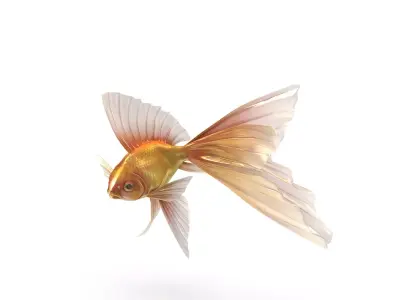 Fantasy Gold Fish rig Low-poly 3D model