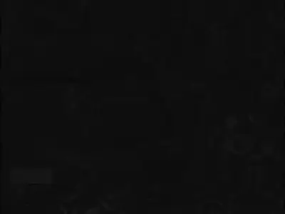 Super Soaker Water Blaster 3D Model Low-poly 3D model