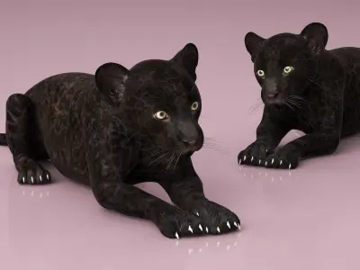 Panther Cub Lying Down 3D model