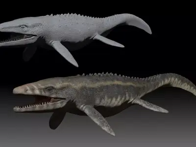 Mosasaurus 3D model 3D model