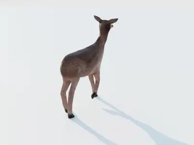 Realistic Deer with Fur Low-poly 3D model