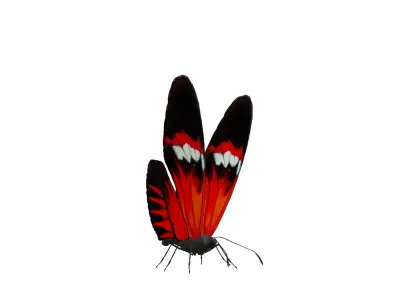 Butterfly Collection Pack 13-18 Low-poly 3D model