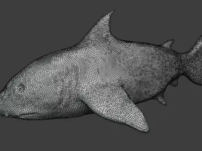 Shark 3D model shop