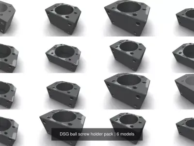 DSG ball screw holder pack