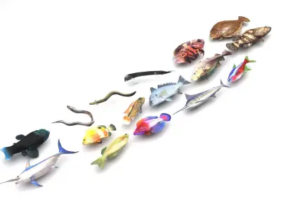 Fishes Set 3D model get
