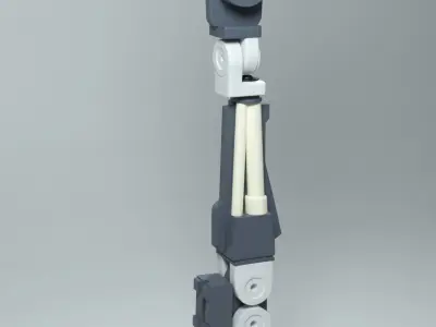 Hand 3D Model Free 3D model