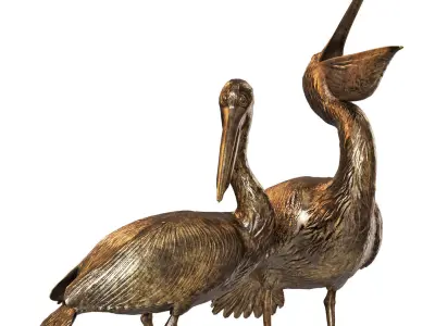 Pelicans 3D model