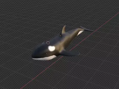  killer whale Free 3D model