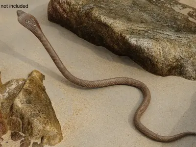  Naja Cobra Snake Attack Pose 