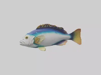 Tilefish statue model Low-poly 3D model