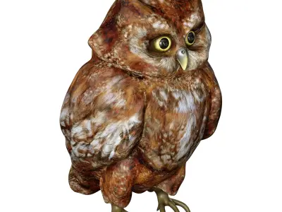 The Owl Bird 3D model