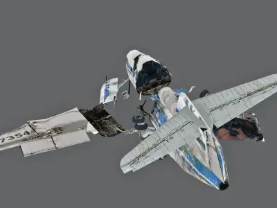crashed Plane Low-poly 3D model buy