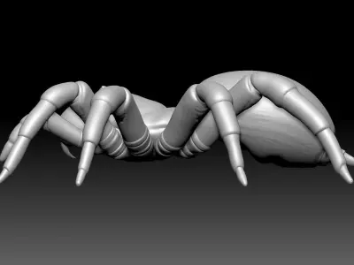 Trapdoor Spider Low-poly 3D model