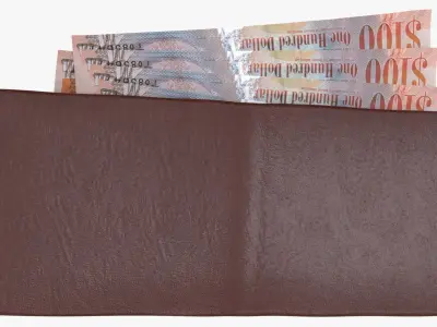 Cayman Islands British 100 Dollar Wallet Money Purse 3D model