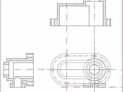 Shell drawing Free 3D model