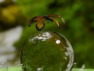 Butterfly sitting on water bubble 3d view Low-poly 3D model