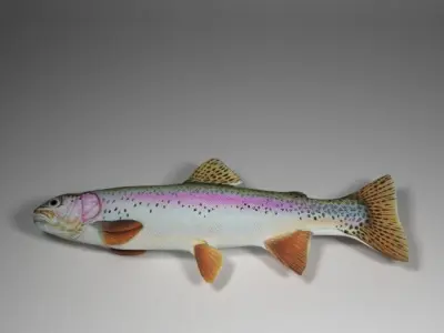 Rainbow trout  Low-poly 3D model