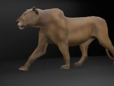 Female Lion with Walk Animation Low-poly 3D model