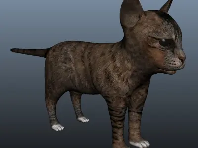 Kitten Model cat Low-poly 3D model