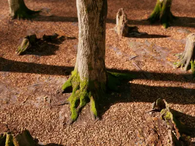 European Beech 04 3D Scanned Animated 3D model
