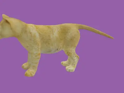 child lion lowpoly 3d model 3D model