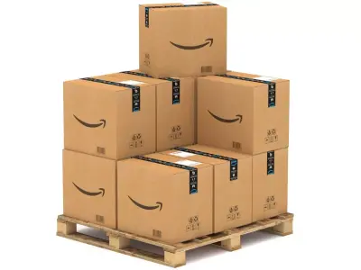 Amazon Cardboard Box with Pallet 3D model