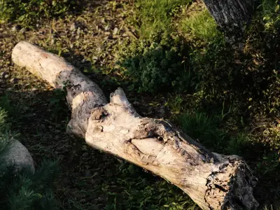  Gnarly Decaying Log Model 