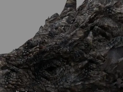 Dragon head lack rough 3D model
