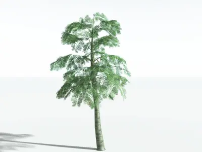 EVERYPlant Alethopteris Seed Fern LowPoly 4 --12 Models-- Low-poly 3D model