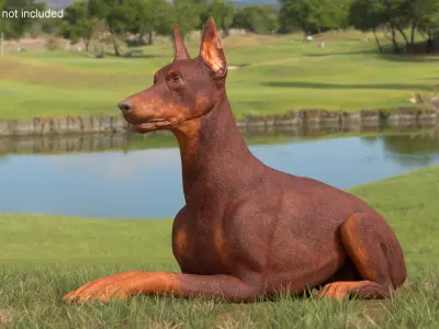 Doberman Dog Brown Lying Down 3D model