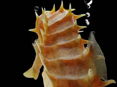 Sea horse 3D model purchase