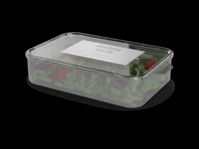 Herrings and herring products Herring Salad 3D model purchase