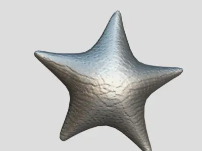 Starfish Low-poly 3D model 2