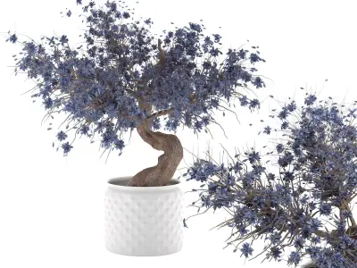 3D Flower-pot bonsai tree Low-poly 3D model