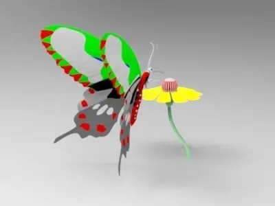 Butterfly 3D model 6