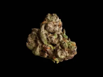 Realistic Cannabis Bud 03 3D model