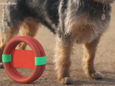 Ring Dog Toy Package 3D model
