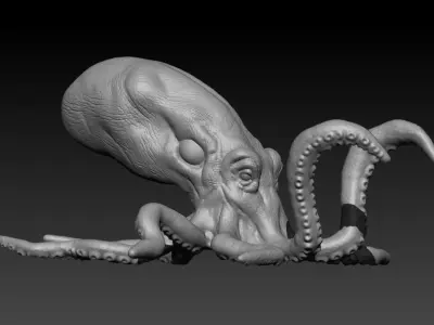 Realistic 3D Octopus Model Free 3D model