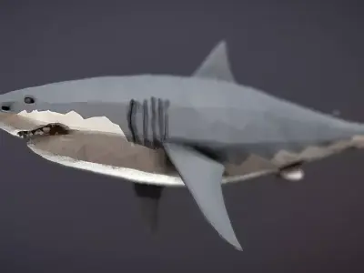 low poly animation shark Low-poly 3D model