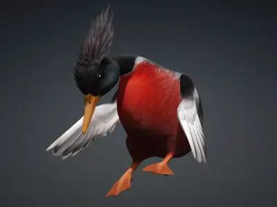 Duck-B3 3D model