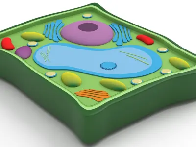 Plant Cell v3 3D model