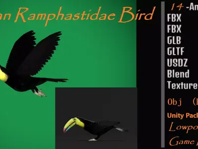 Toucan Bird Low-poly 3D model purchase